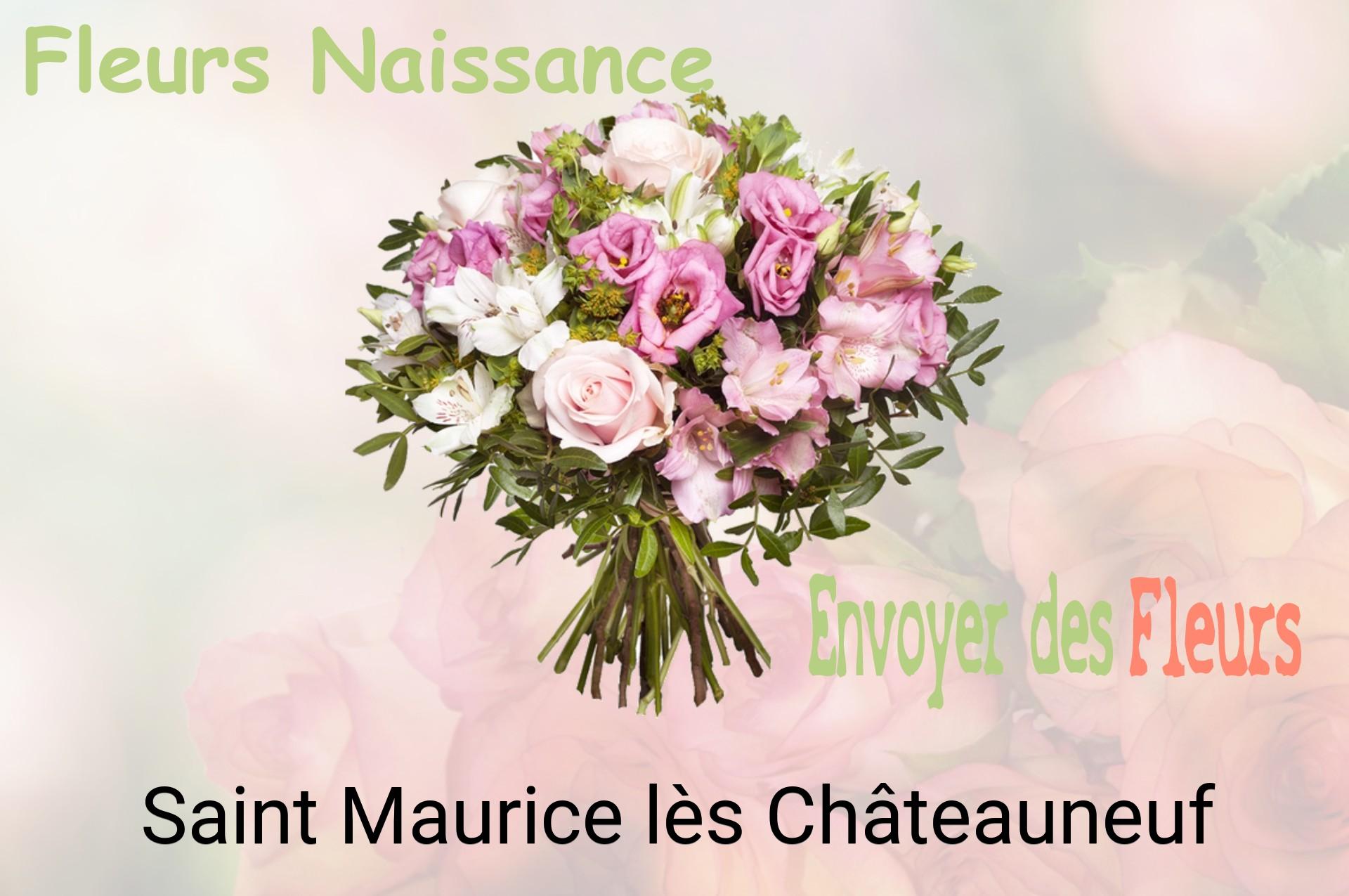 Bouquet de fleurs de naissance livré à Saint-Maurice-lès-Châteauneuf